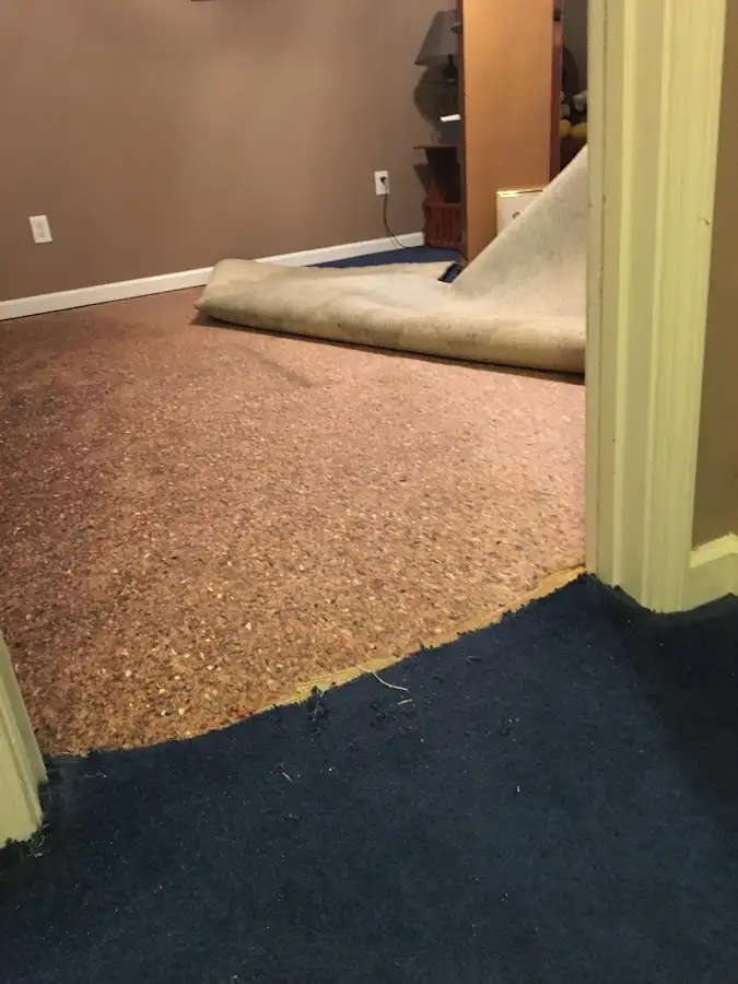 Carpet pad removal revealing water damage during Water Mitigation Services in Anoka