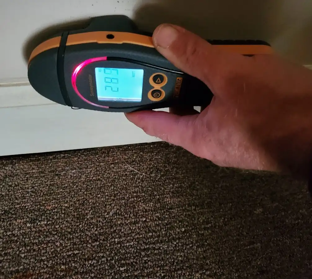 Moisture detection at baseboard during Burst Pipe Cleanup in Anoka